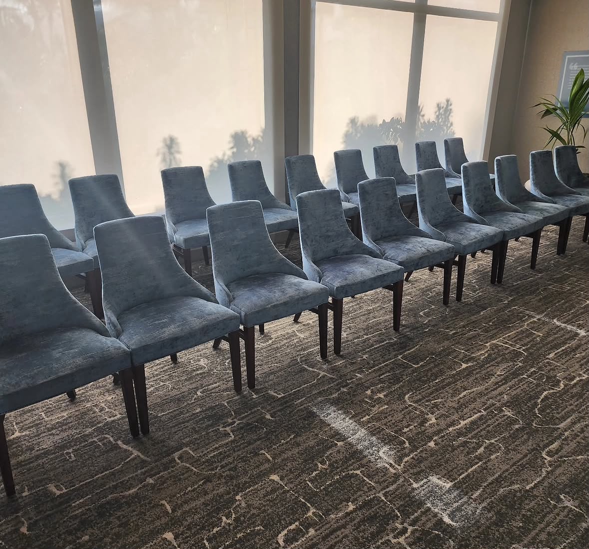 Cleaned chairs and carpet